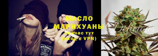 гашик Мегион