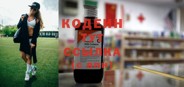 гашик Мегион