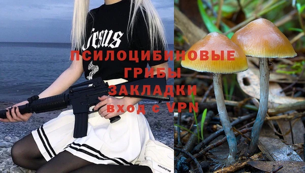 МДПВ Медвежьегорск