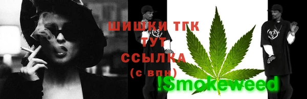 гашик Мегион