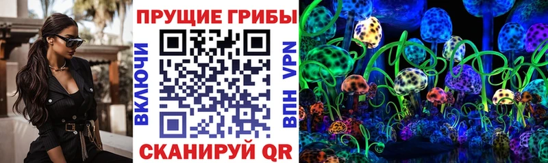 hydra зеркало Дятьково Псилоцибиновые грибы ЛСД